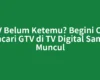 GTV Belum Ketemu? Begini Cara Mencari GTV di TV Digital Sampai Muncul