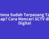 Antena Sudah Terpasang Tapi Gelap? Cara Mencari SCTV di TV Digital