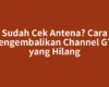 Sudah Cek Antena? Cara Mengembalikan Channel GTV yang Hilang