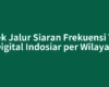 Cek Jalur Siaran Frekuensi TV Digital Indosiar per Wilayah