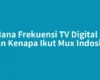 Di Mana Frekuensi TV Digital Moji dan Kenapa Ikut Mux Indosiar