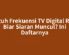 Butuh Frekuensi TV Digital RCTI Biar Siaran Muncul? Ini Daftarnya