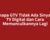 Kenapa GTV Tidak Ada Sinyal di TV Digital dan Cara Memunculkannya Lagi
