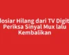 Indosiar Hilang dari TV Digital? Periksa Sinyal Mux lalu Kembalikan