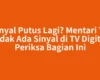 Sinyal Putus Lagi? Mentari TV Tidak Ada Sinyal di TV Digital Periksa Bagian Ini