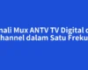 Kenali Mux ANTV TV Digital dan Isi Channel dalam Satu Frekuensi