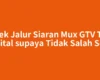 Cek Jalur Siaran Mux GTV Tv Digital supaya Tidak Salah Scan