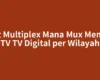 Ikut Multiplex Mana Mux Mentari TV TV Digital per Wilayah