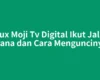 Mux Moji Tv Digital Ikut Jalur Mana dan Cara Menguncinya