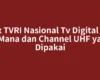 Mux TVRI Nasional Tv Digital Ada di Mana dan Channel UHF yang Dipakai