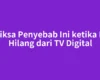 Periksa Penyebab Ini ketika BTV Hilang dari TV Digital