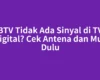 BTV Tidak Ada Sinyal di TV Digital? Cek Antena dan Mux Dulu