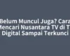 Belum Muncul Juga? Cara Mencari Nusantara TV di TV Digital Sampai Terkunci