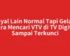 Sinyal Lain Normal Tapi Gelap? Cara Mencari VTV di TV Digital Sampai Terkunci