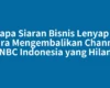 Kenapa Siaran Bisnis Lenyap dan Cara Mengembalikan Channel CNBC Indonesia yang Hilang