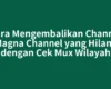 Cara Mengembalikan Channel Magna Channel yang Hilang dengan Cek Mux Wilayah