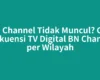 BN Channel Tidak Muncul? Cek Frekuensi TV Digital BN Channel per Wilayah