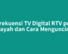 Frekuensi TV Digital RTV per Wilayah dan Cara Menguncinya