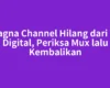 Magna Channel Hilang dari TV Digital, Periksa Mux lalu Kembalikan