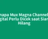Kenapa Mux Magna Channel Tv Digital Perlu Dicek saat Siaran Hilang