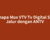 Kenapa Mux VTV Tv Digital Satu Jalur dengan ANTV
