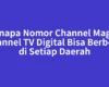 Kenapa Nomor Channel Magna Channel TV Digital Bisa Berbeda di Setiap Daerah