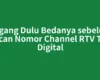 Pegang Dulu Bedanya sebelum Scan Nomor Channel RTV TV Digital