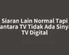 Siaran Lain Normal Tapi Nusantara TV Tidak Ada Sinyal di TV Digital