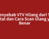 Penyebab VTV Hilang dari TV Digital dan Cara Scan Ulang yang Benar